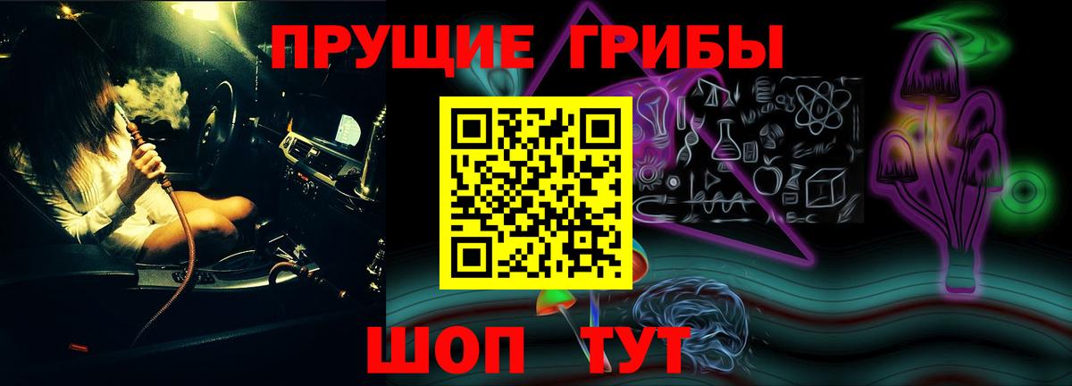 Галлюциногенные грибы прущие грибы  Вход с VPN  Калининград 